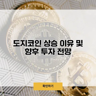 도지코인 상승 이유 및 향후 투자 전망