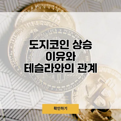 도지코인 상승 이유와 테슬라와의 관계