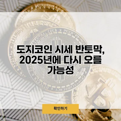 도지코인 시세 반토막, 2025년에 다시 오를 가능성?