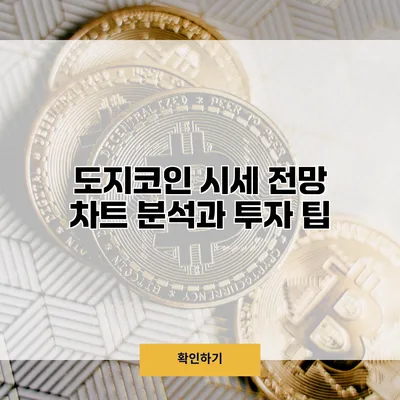 도지코인 시세 전망 차트 분석과 투자 팁