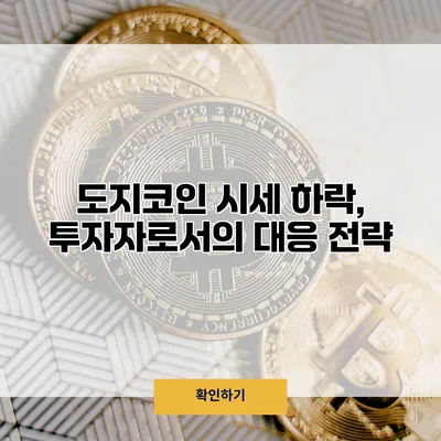 도지코인 시세 하락, 투자자로서의 대응 전략