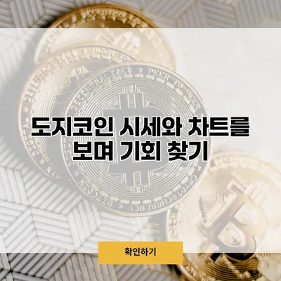 도지코인 시세와 차트를 보며 기회 찾기