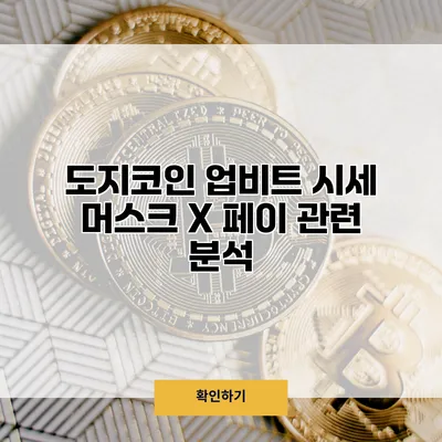 도지코인 업비트 시세 머스크 X 페이 관련 분석