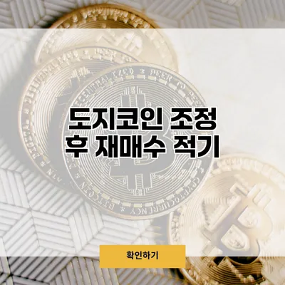 도지코인 조정 후 재매수 적기?