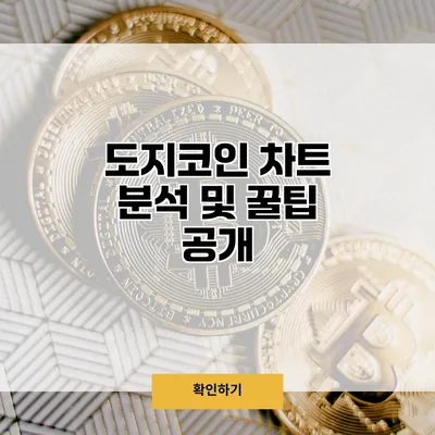 도지코인 차트 분석 및 꿀팁 공개