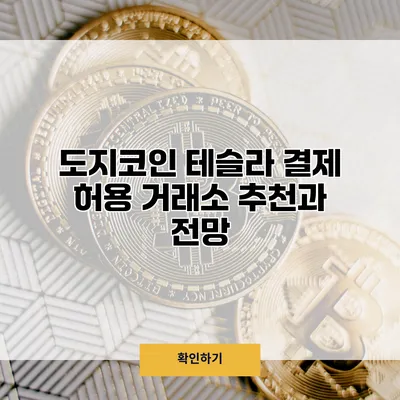 도지코인 테슬라 결제 허용 거래소 추천과 전망