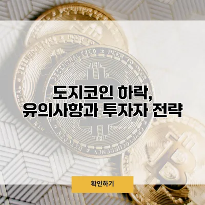 도지코인 하락, 유의사항과 투자자 전략