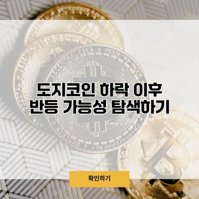 도지코인 하락 이후 반등 가능성 탐색하기