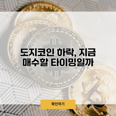 도지코인 하락, 지금 매수할 타이밍일까?