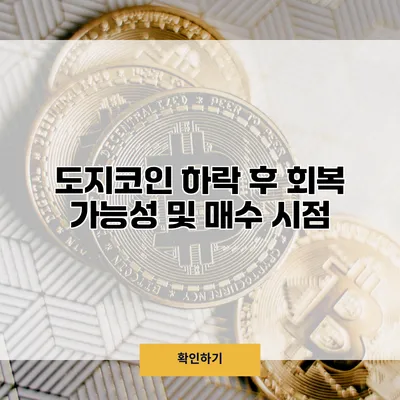도지코인 하락 후 회복 가능성 및 매수 시점