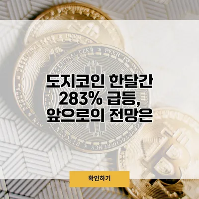도지코인 한달간 283% 급등, 앞으로의 전망은?
