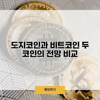 도지코인과 비트코인 두 코인의 전망 비교