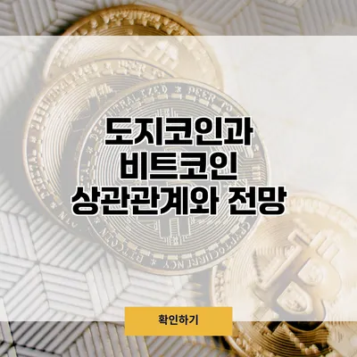 도지코인과 비트코인 상관관계와 전망