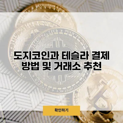 도지코인과 테슬라 결제 방법 및 거래소 추천