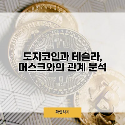 도지코인과 테슬라, 머스크와의 관계 분석