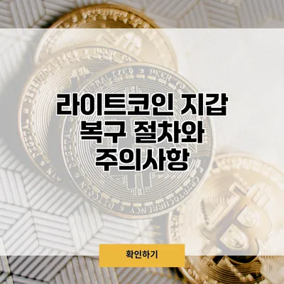 라이트코인 지갑 복구 절차와 주의사항