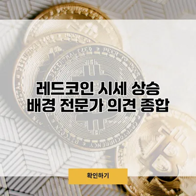 레드코인 시세 상승 배경 전문가 의견 종합