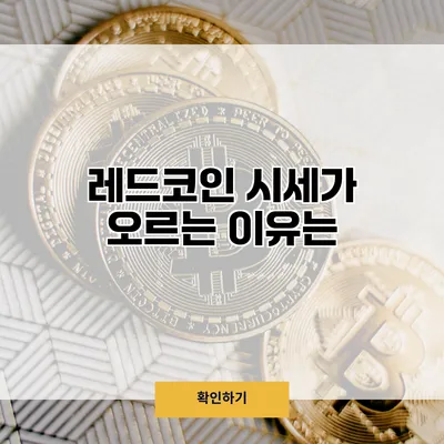 레드코인 시세가 오르는 이유는?