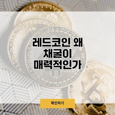 레드코인 왜 채굴이 매력적인가?