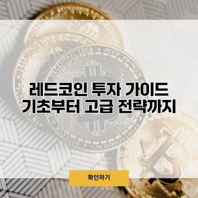 레드코인 투자 가이드 기초부터 고급 전략까지