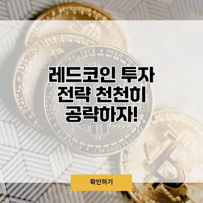 레드코인 투자 전략 천천히 공략하자!