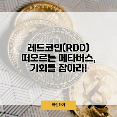 레드코인(RDD) 떠오르는 메타버스, 기회를 잡아라!