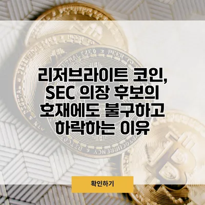 리저브라이트 코인, SEC 의장 후보의 호재에도 불구하고 하락하는 이유