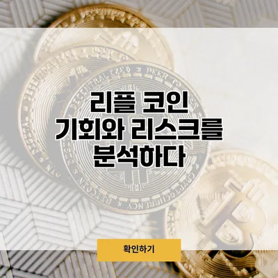 리플 코인 기회와 리스크를 분석하다