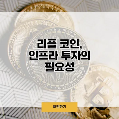 리플 코인, 인프라 투자의 필요성
