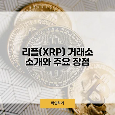 리플(XRP) 거래소 소개와 주요 장점