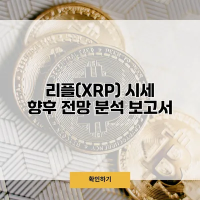 리플(XRP) 시세 향후 전망 분석 보고서