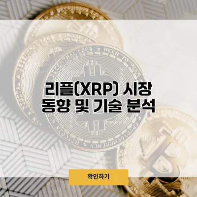 리플(XRP) 시장 동향 및 기술 분석