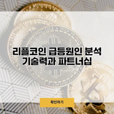 리플코인 급등원인 분석 기술력과 파트너십