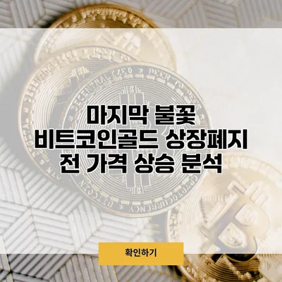 마지막 불꽃 비트코인골드 상장폐지 전 가격 상승 분석
