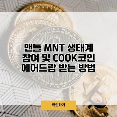 맨틀 MNT 생태계 참여 및 COOK코인 에어드랍 받는 방법