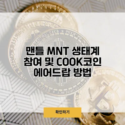 맨틀 MNT 생태계 참여 및 COOK코인 에어드랍 방법