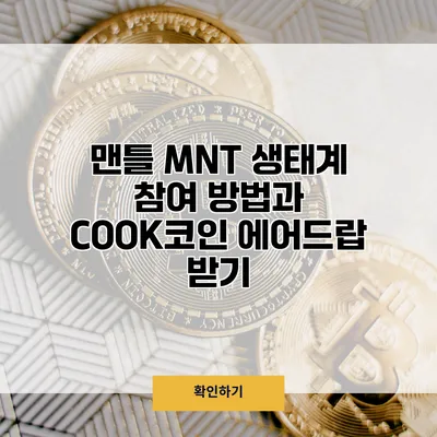 맨틀 MNT 생태계 참여 방법과 COOK코인 에어드랍 받기