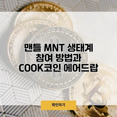 맨틀 MNT 생태계 참여 방법과 COOK코인 에어드랍