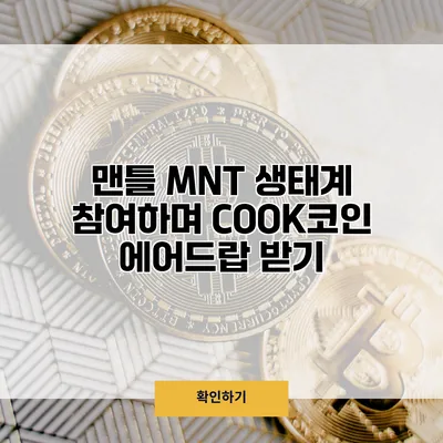 맨틀 MNT 생태계 참여하며 COOK코인 에어드랍 받기