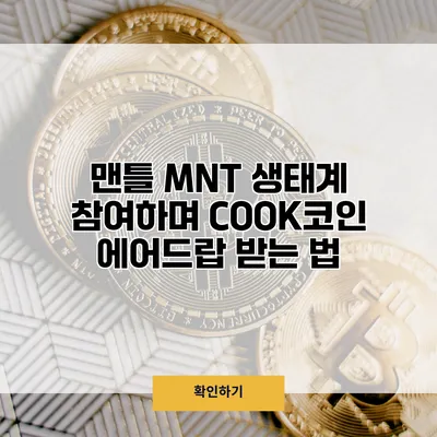 맨틀 MNT 생태계 참여하며 COOK코인 에어드랍 받는 법