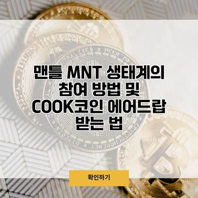 맨틀 MNT 생태계의 참여 방법 및 COOK코인 에어드랍 받는 법