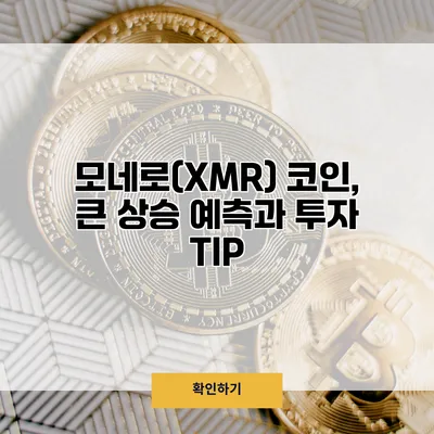 모네로(XMR) 코인, 큰 상승 예측과 투자 TIP
