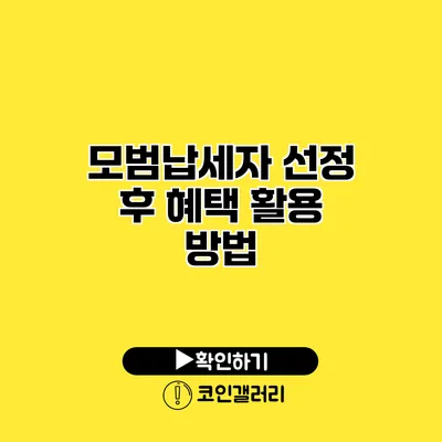 모범납세자 선정 후 혜택 활용 방법