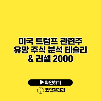 미국 트럼프 관련주 유망 주식 분석 테슬라 & 러셀 2000