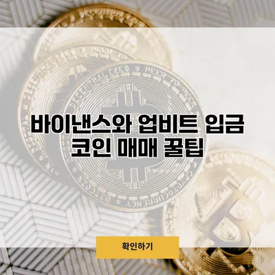 바이낸스와 업비트 입금 코인 매매 꿀팁