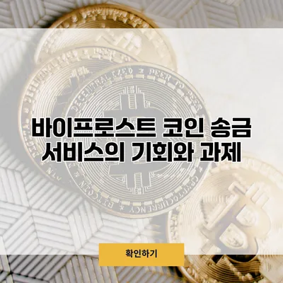 바이프로스트 코인 송금 서비스의 기회와 과제