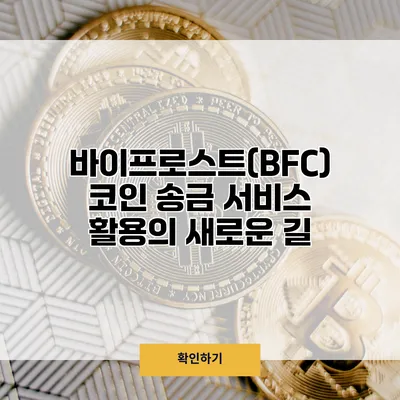바이프로스트(BFC) 코인 송금 서비스 활용의 새로운 길