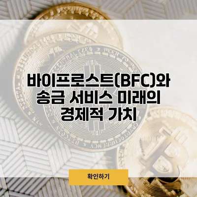 바이프로스트(BFC)와 송금 서비스 미래의 경제적 가치