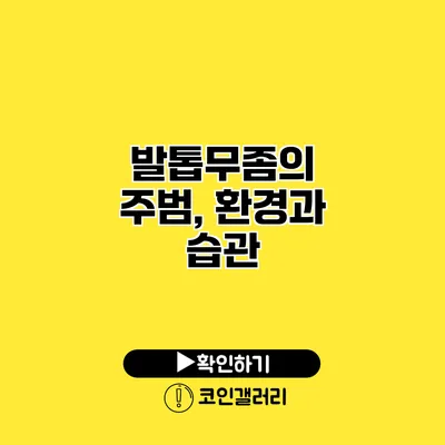 발톱무좀의 주범, 환경과 습관