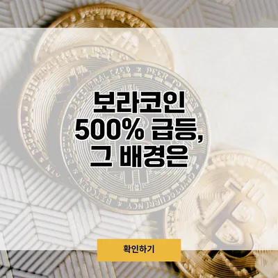보라코인 500% 급등, 그 배경은?